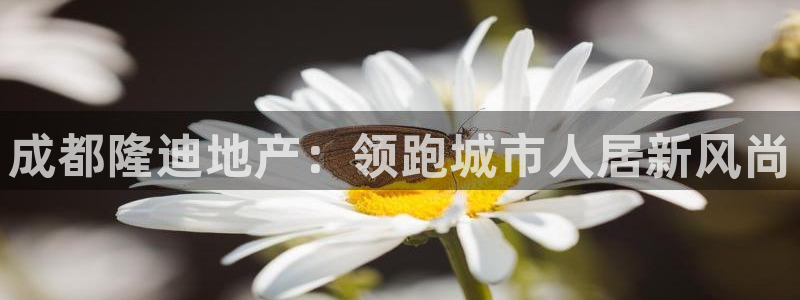 永利输的钱可以弄回来吗