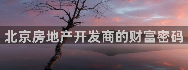 佛山永利批发市场在哪里