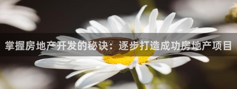 永利五金怎么样