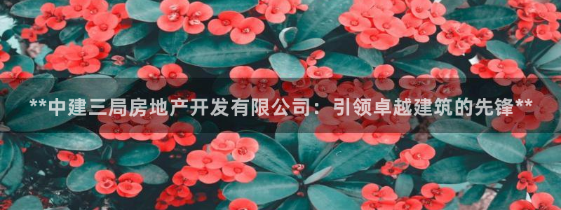 永利集团董事长