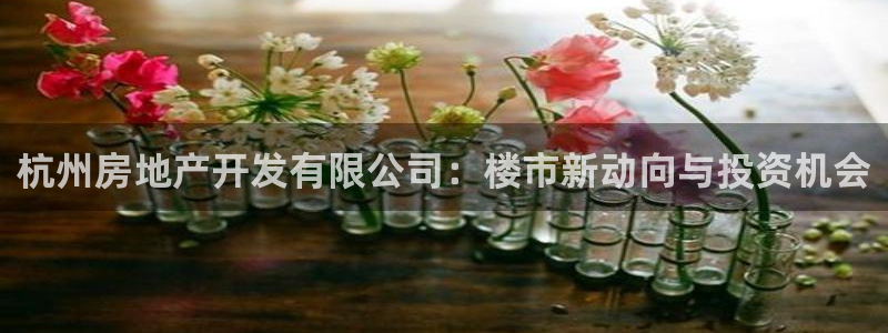 永利每月送30
