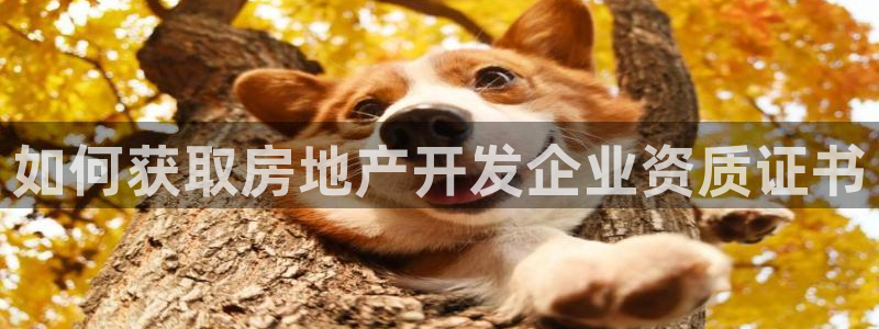 永利皮具lv工厂