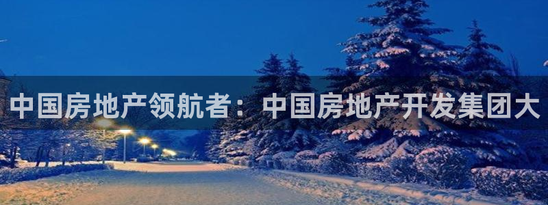永利皮革