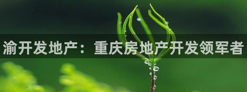 永利官网是什么