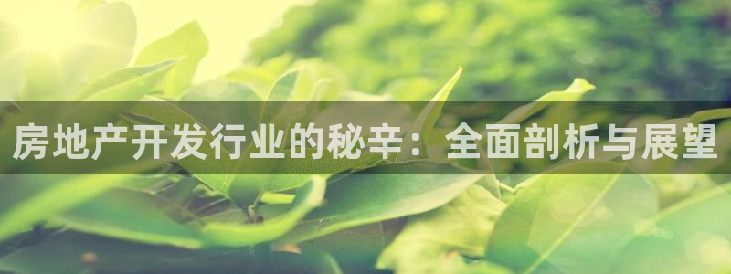 永利输送带