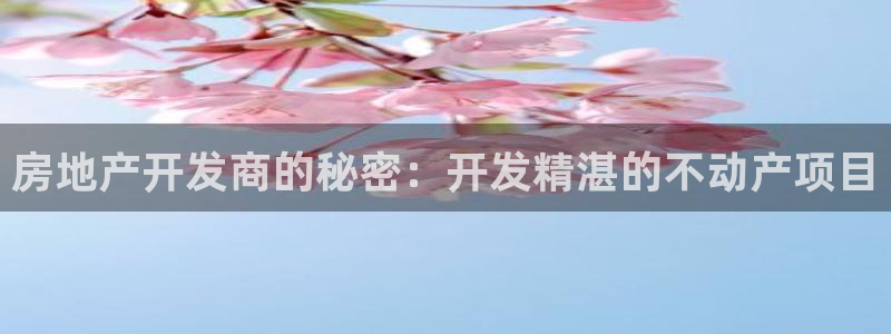永利集团3044浏览器