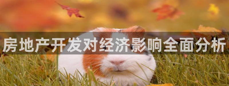 永利网是干什么的,能挣到钱吗是真的吗