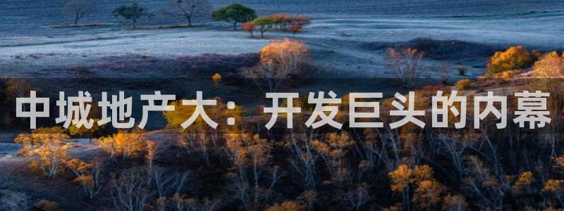永利饭店老板是谁