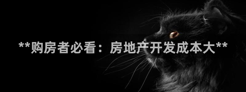 永利地产怎么样