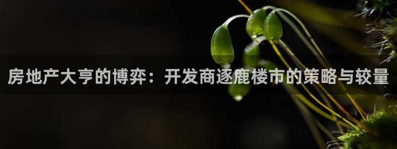 永利积分兑换