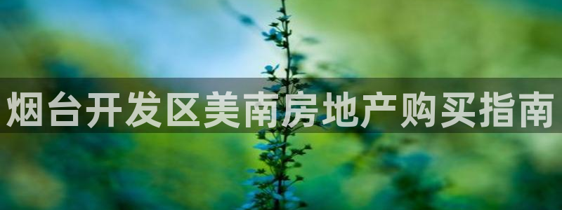 永利睹钱