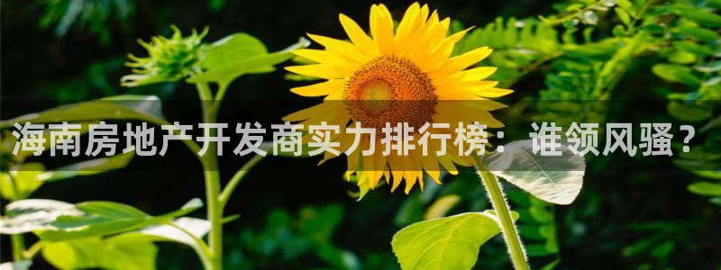 永利皇宫是金沙的吗