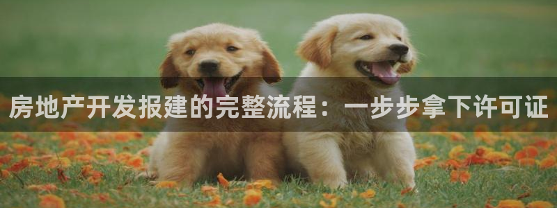 永利充值第三方交易是什么