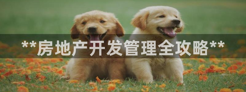 浙江永利集团