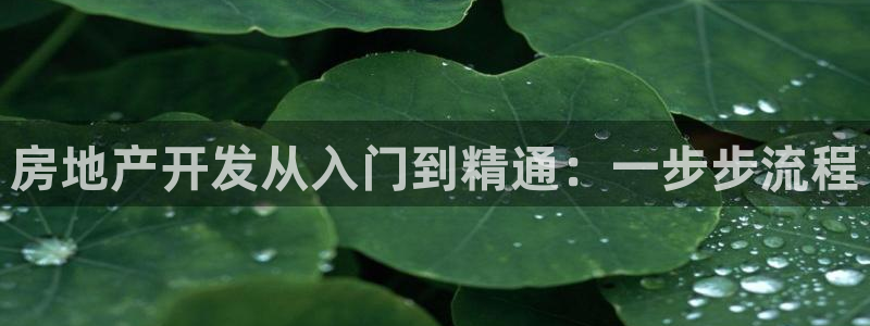 永利打不开