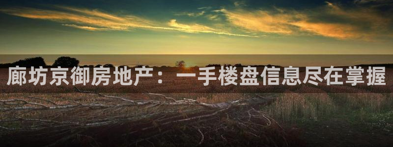 永利皮带报价