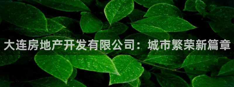 永利集团董事长