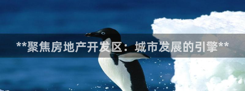 佛山永利工业皮带厂家