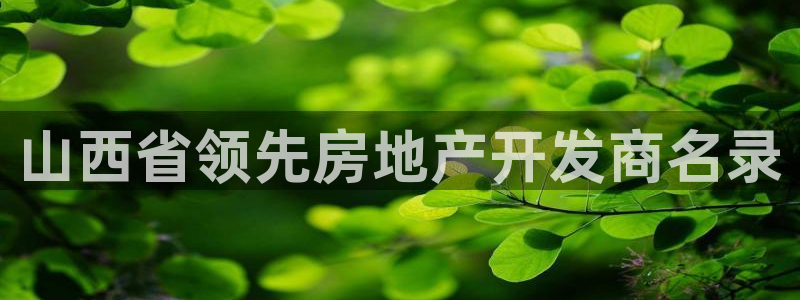 永利皮带型号说明图解