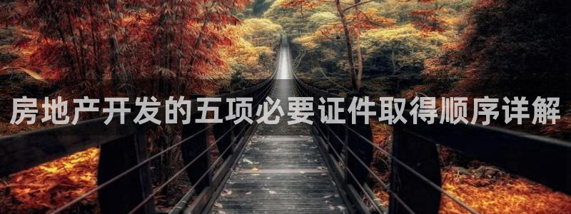永利背一分
