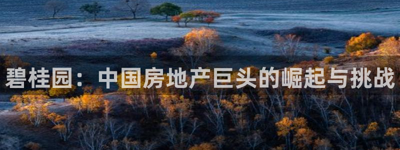 永利网能赚钱是真的么