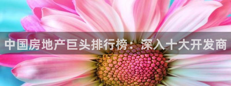 永利官网总站入口网址
