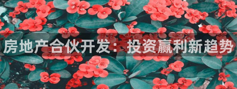 永利皮带