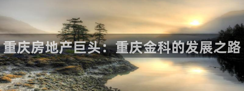 永利酒店有几家