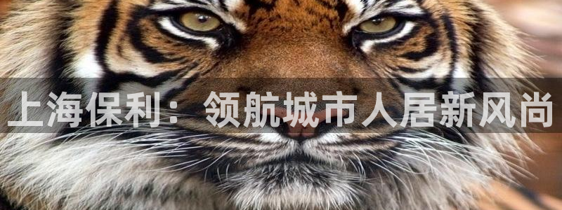 永利网会员