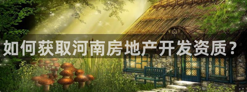 永利宝高管