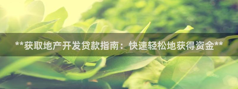 永利官网误乐域一个币多少钱