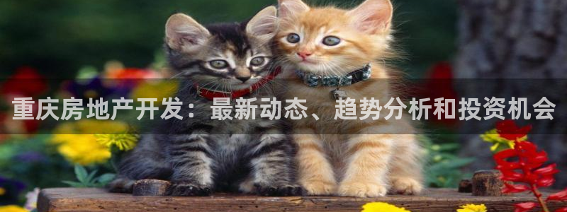 永利带业股票