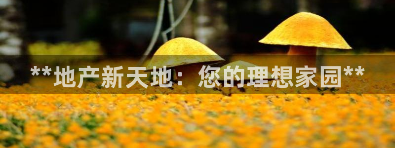 永利有限责任公司