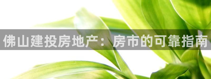 永利优惠大厅