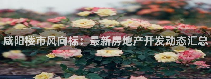 永利提不了款怎么办