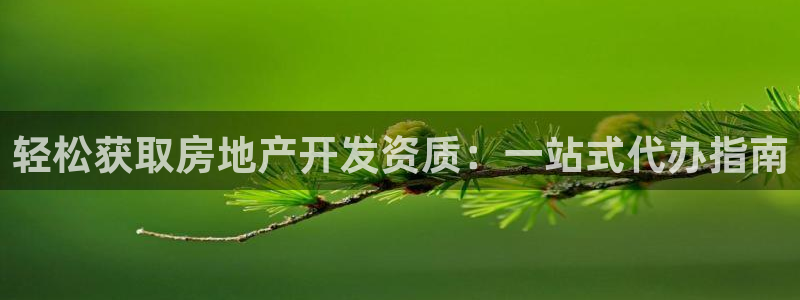 永利房地产开发有限公司
