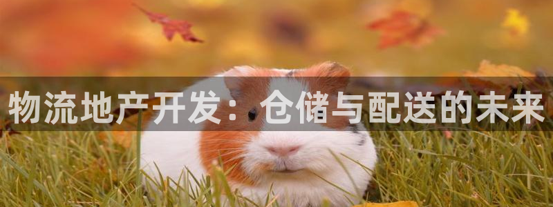 永利保险公司介绍