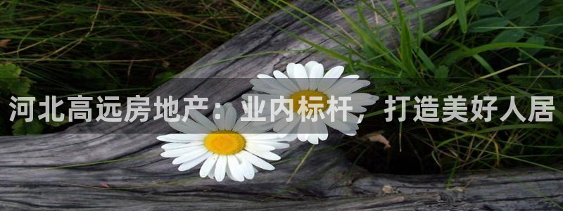 永利是啥意思