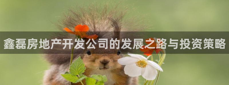 永利汇团购