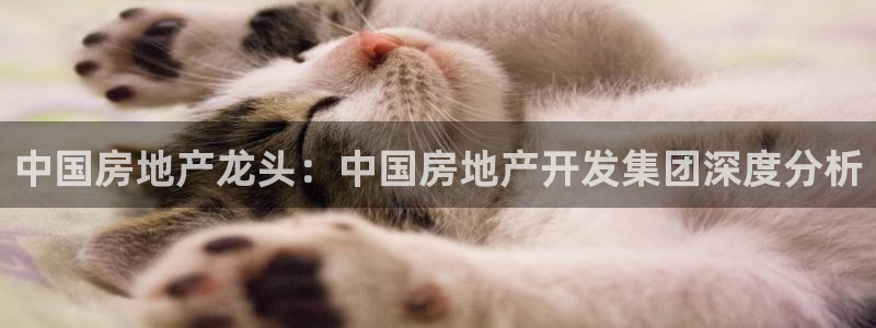 永利购物中心拆迁