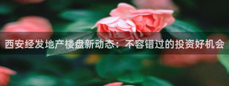 永利官网总站入口