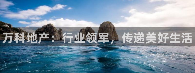 永利表行为什么那么便宜