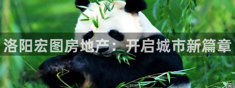 为什么永利会打不开了
