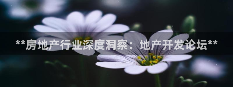 永利铔厂章用中