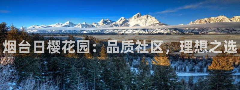永利金文化有限公司
