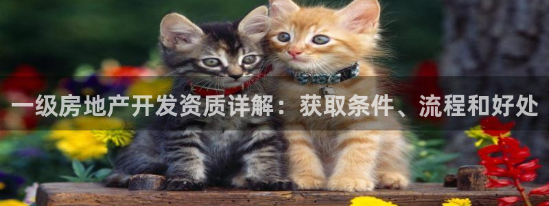 澳门 永利