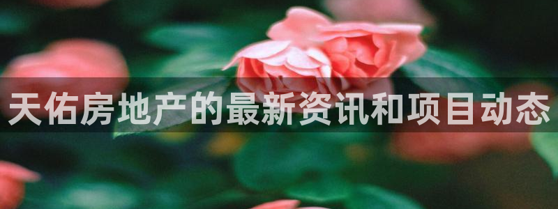 莱州永利集团