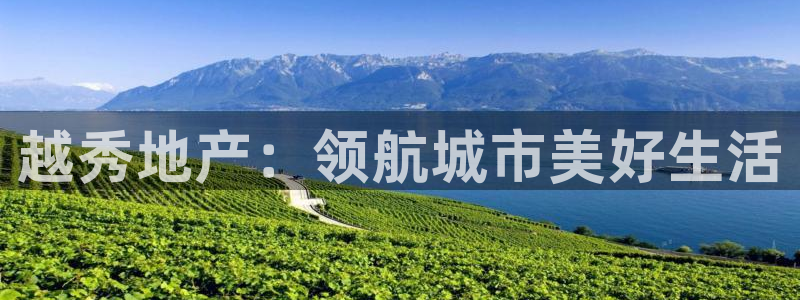 永利皮革