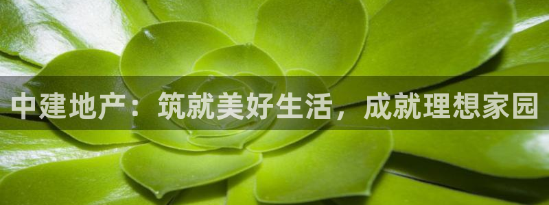 永利官网y