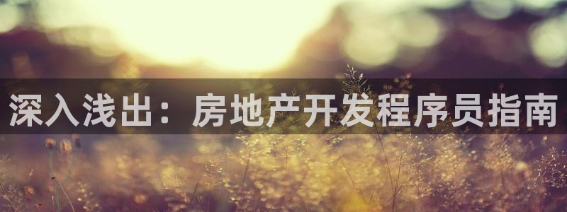 永利皮具lv工厂